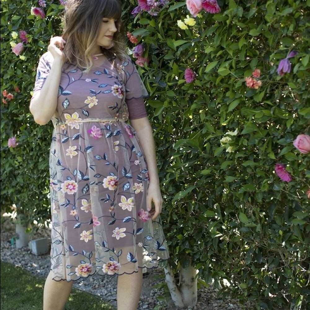 BNWT Lularoe DeAnne II - Picture 4 of 6